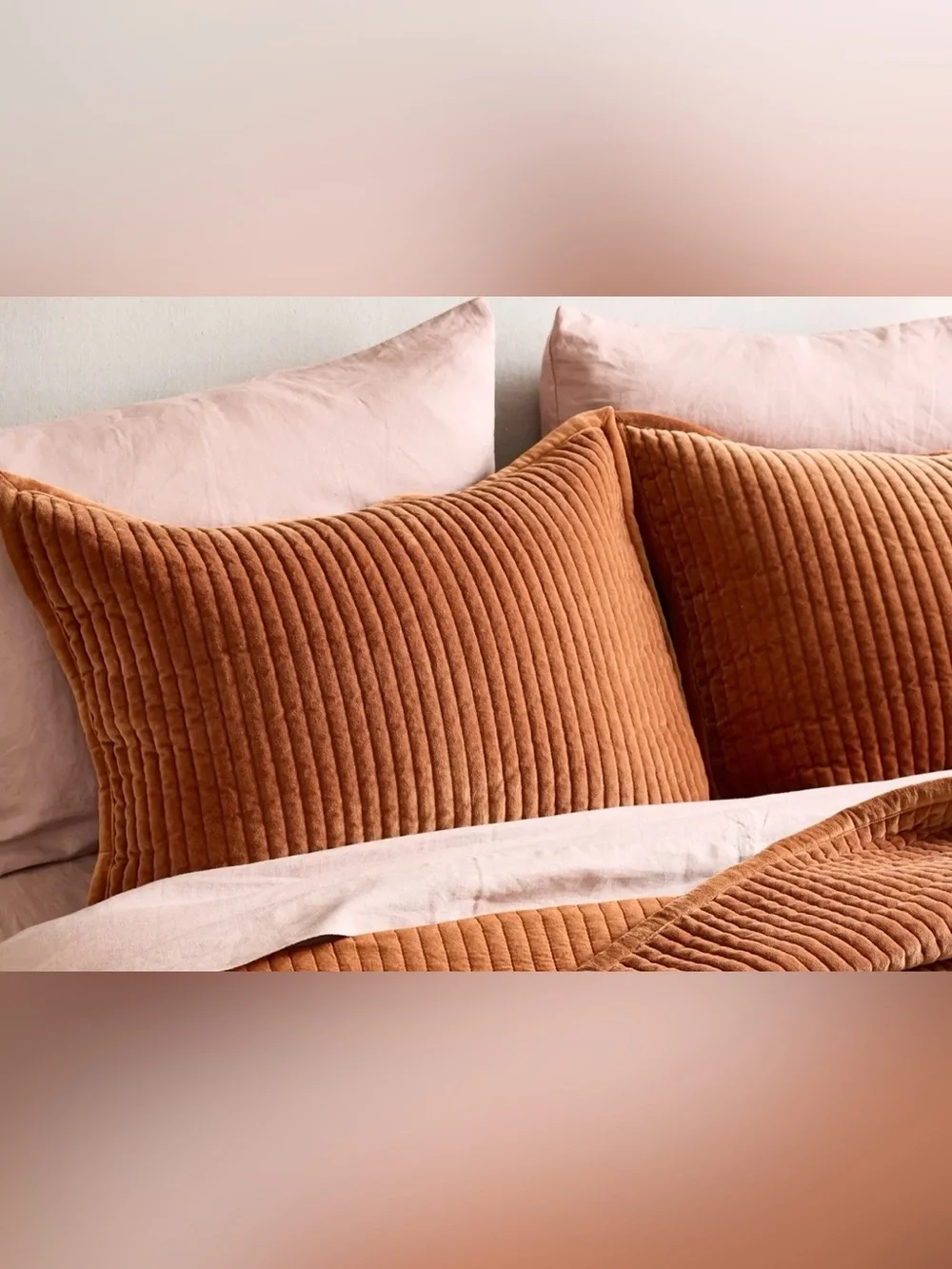 NEW Quince Cotton Velvet Channel Quilted Sham Set, King (Terracotta)